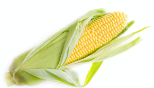 Cutting Corn Off the Cob