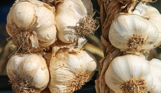 Garlic Herb Steak Rub