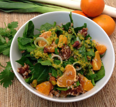 Week of February 23, 2026