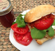 Grilled Chicken Mozzarella Sandwich