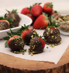 Week of February 16, 2026