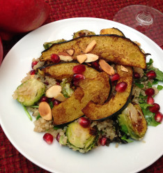 Week of November 21, 2016