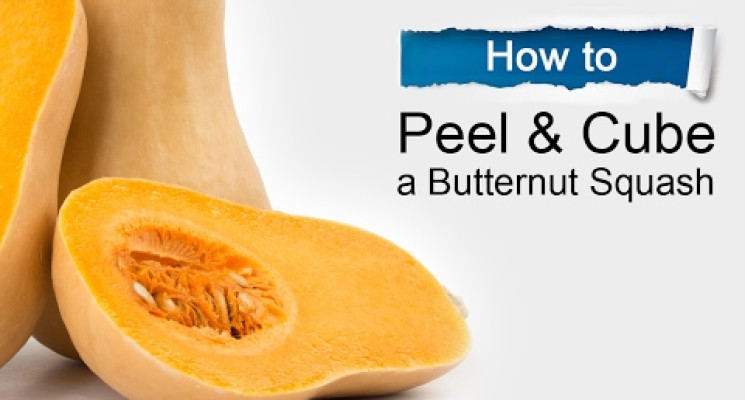 Butternut Squash 101