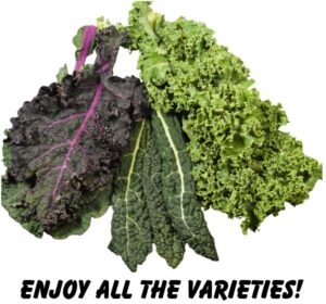 Photo of 3 varieties of kale with the caption "Enjoy All the Varieties!"