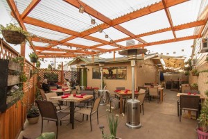 Garden Kitchen Patio