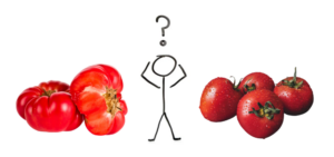 Person confused whether to buy tomatoes with imperfections or perfect-looking tomatoes.