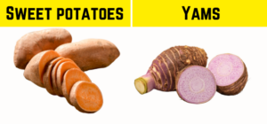 Photos to compare sweet potatoes (left) and yams (right)