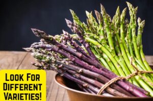Photo of a bunch of green and purple asparagus with the caption "Look for Different Varieties!"