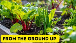 Image of fresh greens growing in a garden with the caption "From the Ground Up"